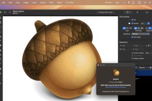Acorn Pro For Mac