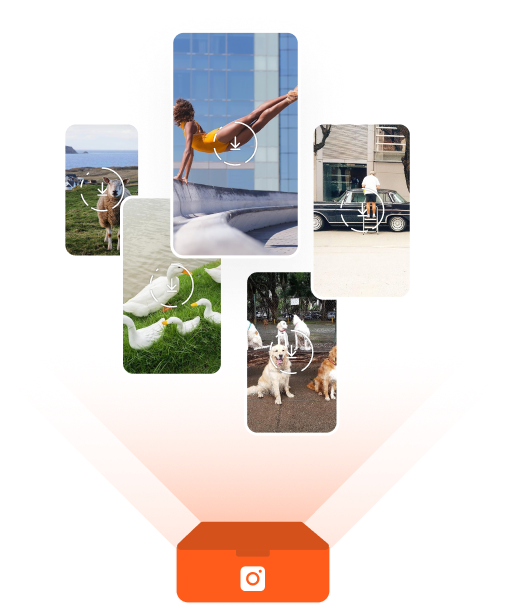 4K Stogram For mac Instagram Photos, Videos, Status Downloader